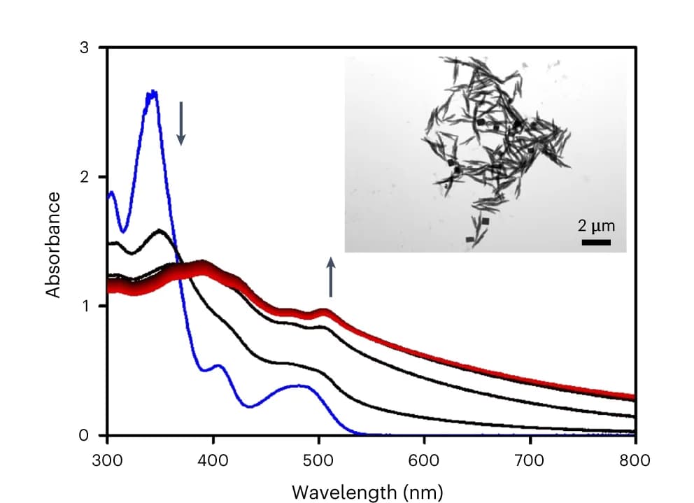 Open access visualization of Line Plot, Microscopy, Absorption Spectra, Palladium Complex, Water/DMSO Solutions