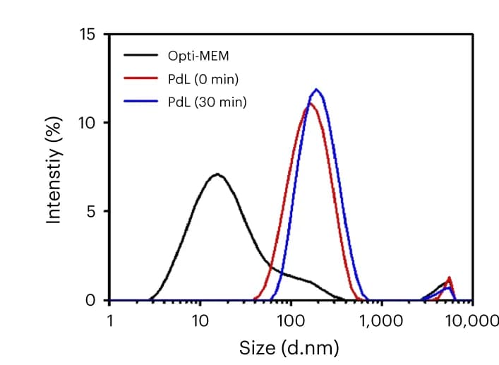 Open access visualization of Line Plot, Density Plot, Size distribution, Opti-MEM complete medium, PdL solution