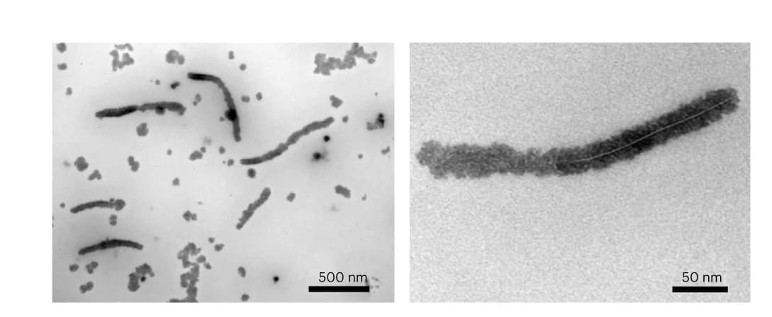 Open access visualization of Microscopy, TEM, Cryo-EM, Opti-MEM complete medium, PdL