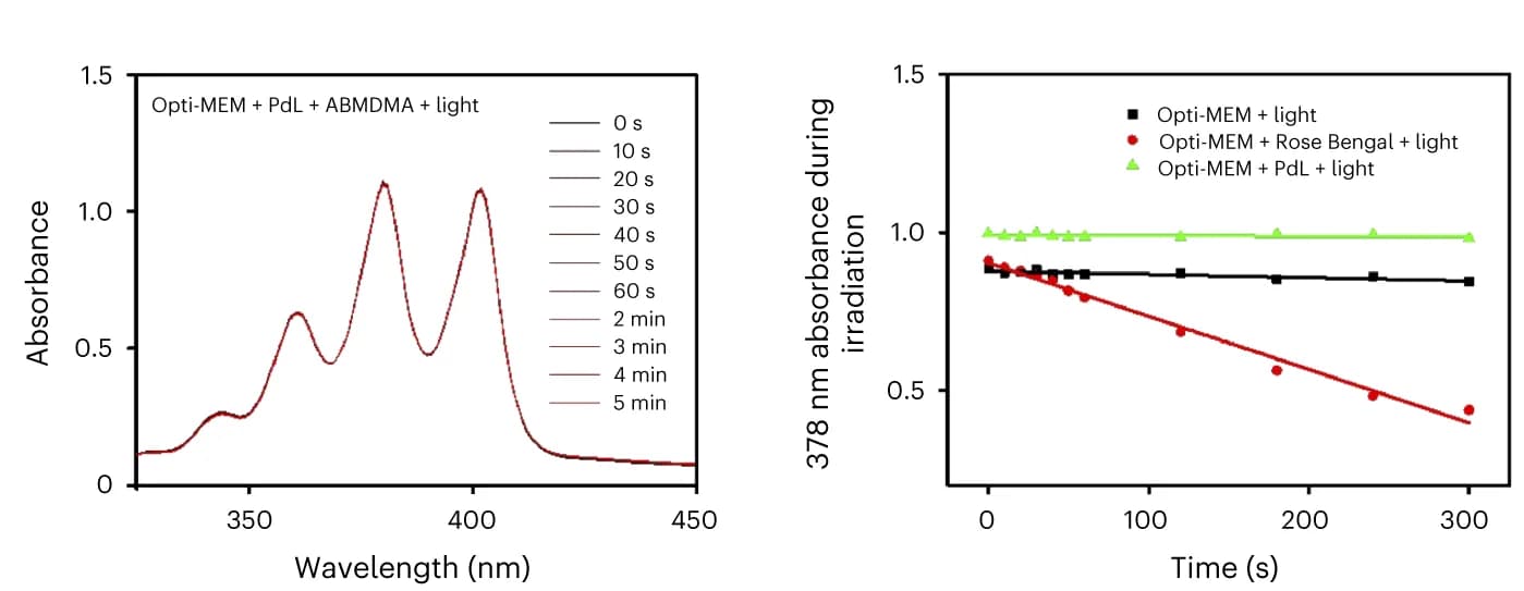 Open access visualization of Line Plot, Scatter Plot, Regression Plot, Absorption spectrum, Absorbance