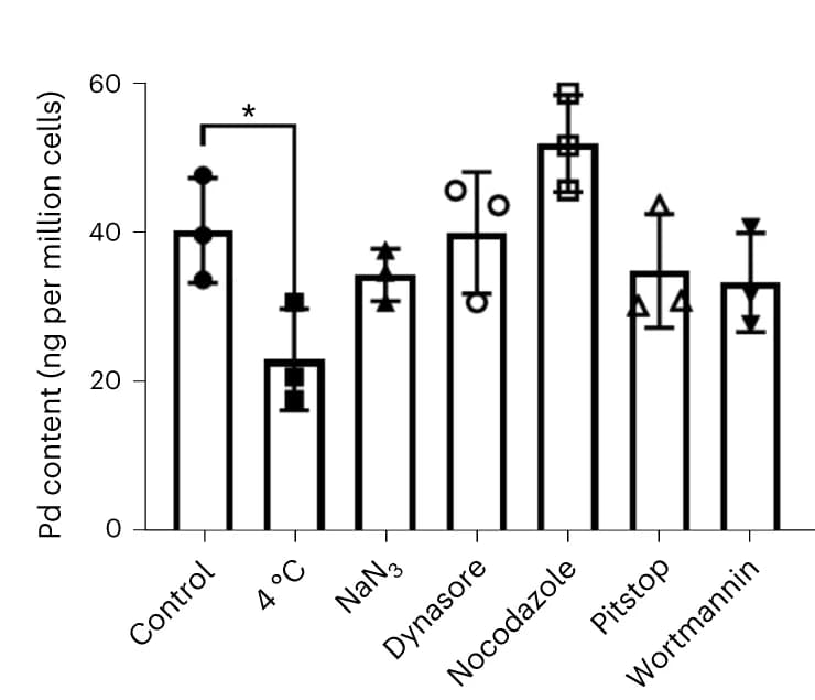 Open access visualization of Bar Plot, Error Bars, ICP-MS, A375 Skin Melanoma Cells, Cell Monolayers