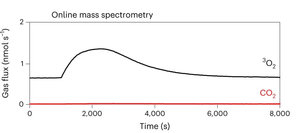 Open access visualization of Line Plot, Mass Spectrometry, Gaseous Products, TEMPO+, Li2O2