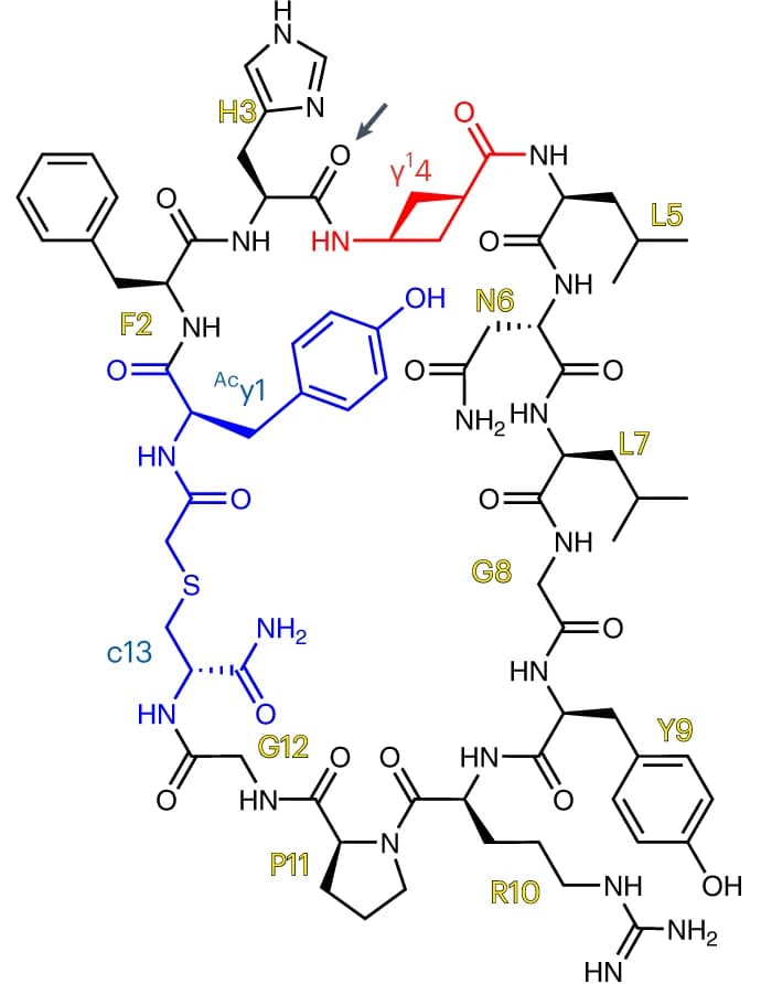 Open access visualization of Chemical Structure, GM4, Carbonyl
