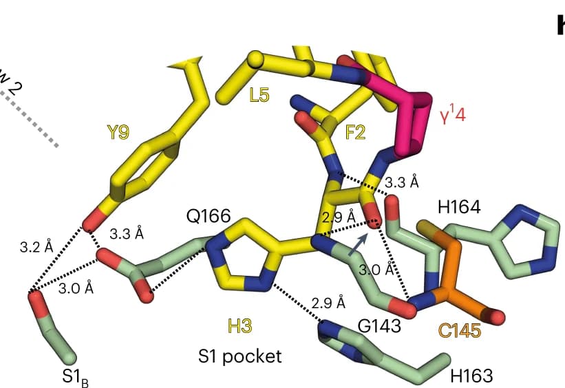 Open access visualization of Protein Structure, Chemical Structure, Imidazole, Hydrogen Bond, Side Chain