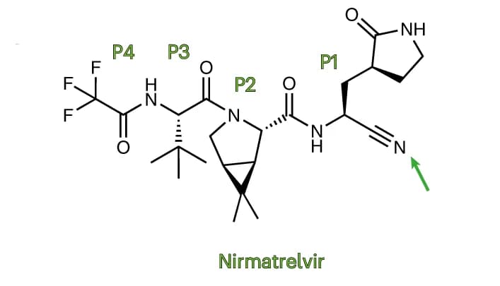Open access visualization of Chemical Structure, Nirmatrelvir, S1 Subsite, S2 Subsite, S3 Subsite