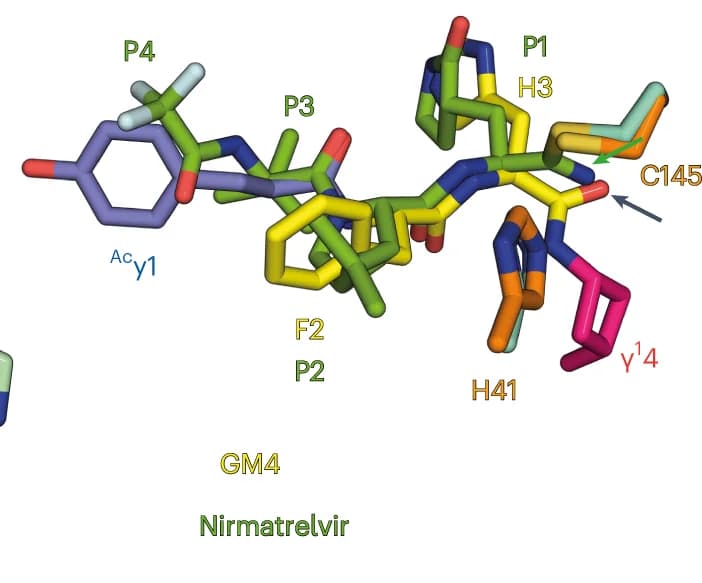 Open access visualization of Protein Structure, Chemical Structure, M Pro, GM4, Nirmatrelvir