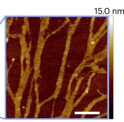 Open access visualization of Microscopy, AFM Image, FUS LC, Protein Film, Air/PBS Buffer Interface