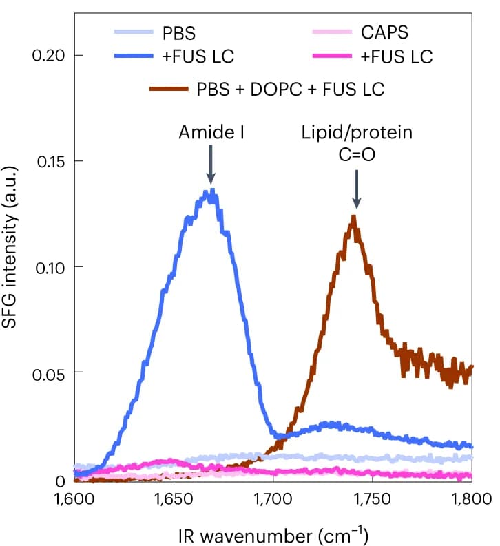Open access visualization of Line Plot, SFG, Amide I, Carbonyl, FUS LC