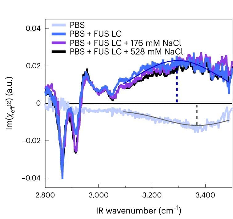 Open access visualization of Line Plot, SFG, CH Stretching, OH Stretching, PBS