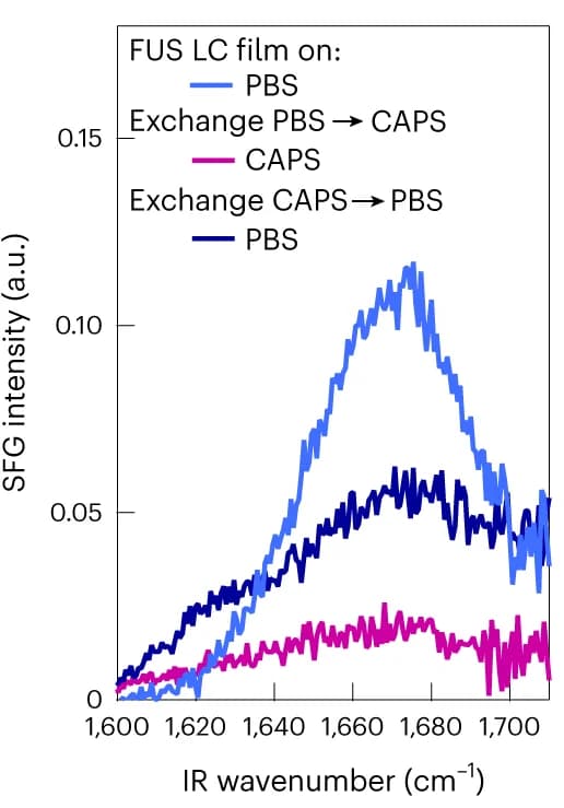 Open access visualization of Line Plot, SFG Spectra, Amide I Region, FUS LC, PBS Buffer