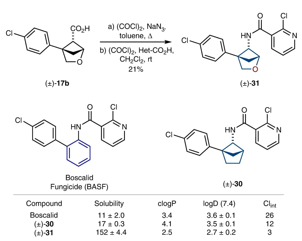 Open access visualization of Chemical Structure, Table Image, Boscalid, Bioisosteres, Synthesis