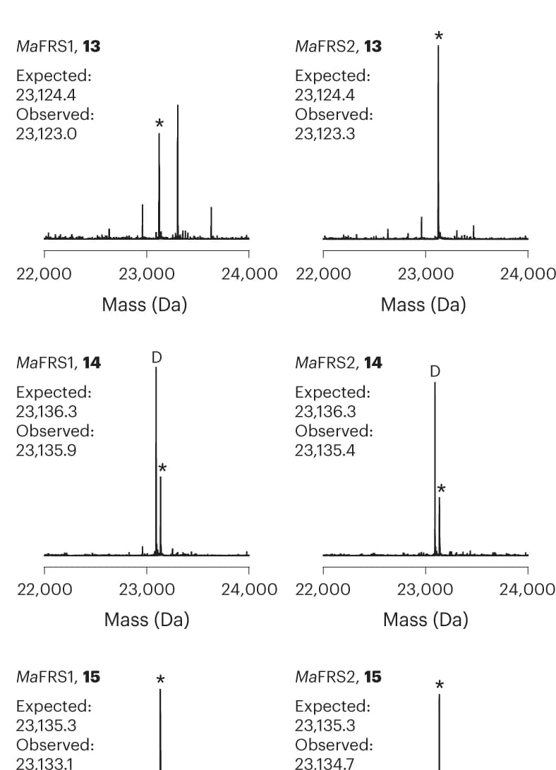 Open access visualization of Bar Plot, LC–MS, tRNA products, Monomers, Substrates