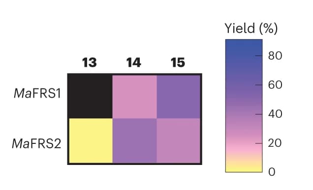Open access visualization of Heatmap, Heat map, Substrates, Ma FRS1, Ma FRS2