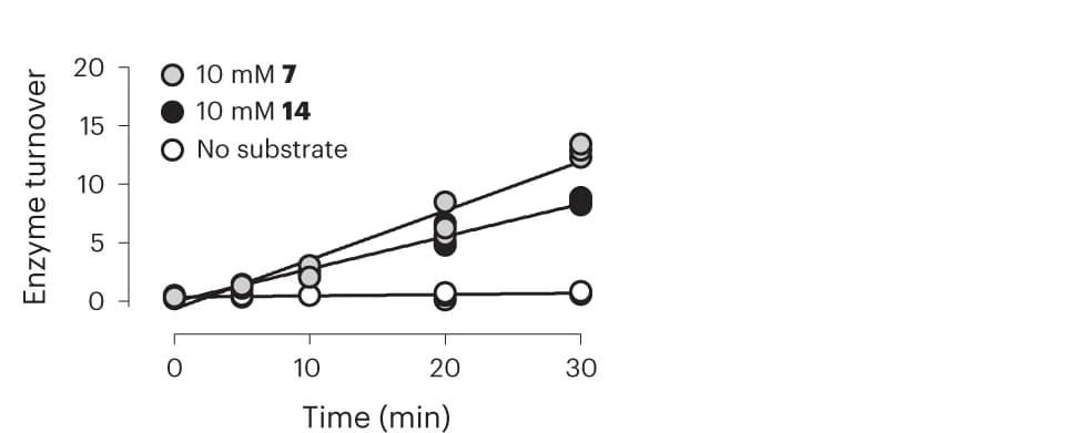 Open access visualization of Line Plot, Scatter Plot, Turnover, Ma FRS1, l -Phe