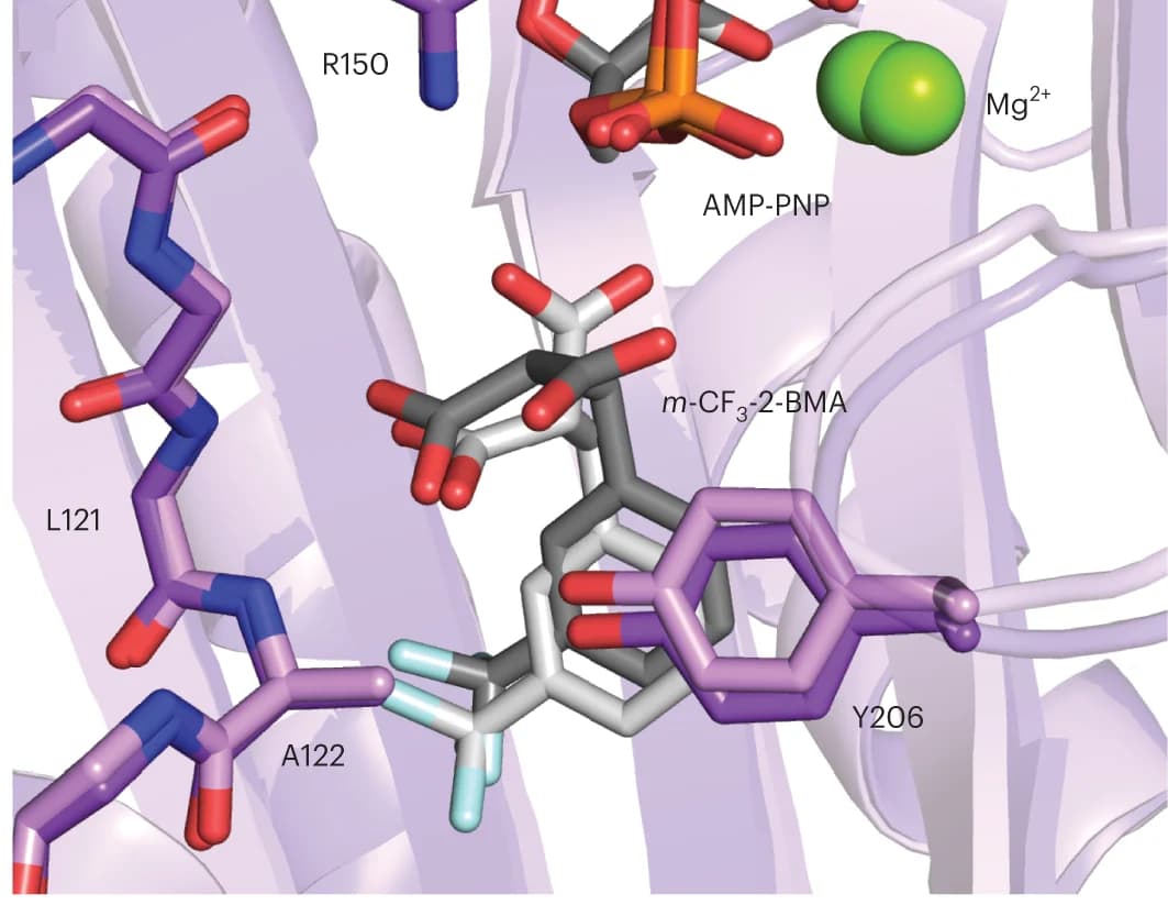 Open access visualization of Protein Structure, Chemical Structure, Active sites, Chain A, Chain B