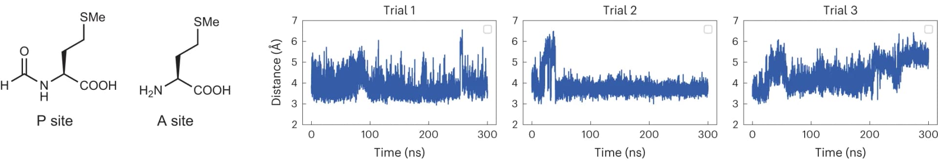 Open access visualization of Line Plot, Chemical Structure, Trajectories, A-site Met, P-site fMet