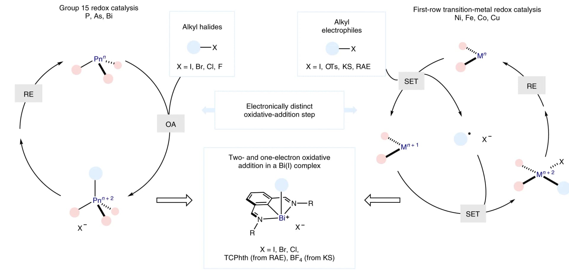 Open access visualization of Workflow, Illustration, Pnictogen Reactivity, Transition-Metal Behaviour, Oxidative Addition