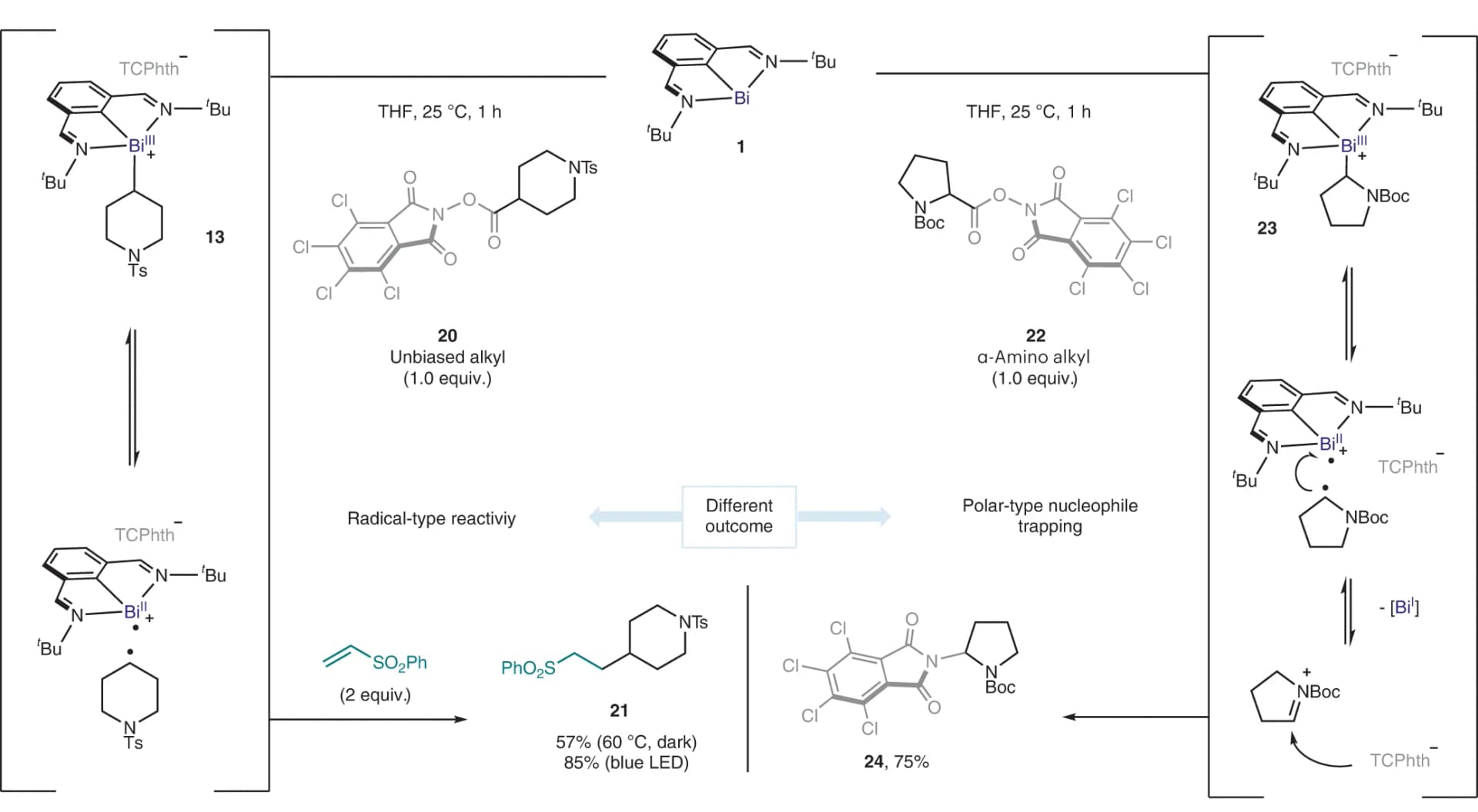 Open access visualization of Workflow, Flowchart, Illustration, Alkyl-bismuth(III) intermediates, Alkyl-radical reactivity