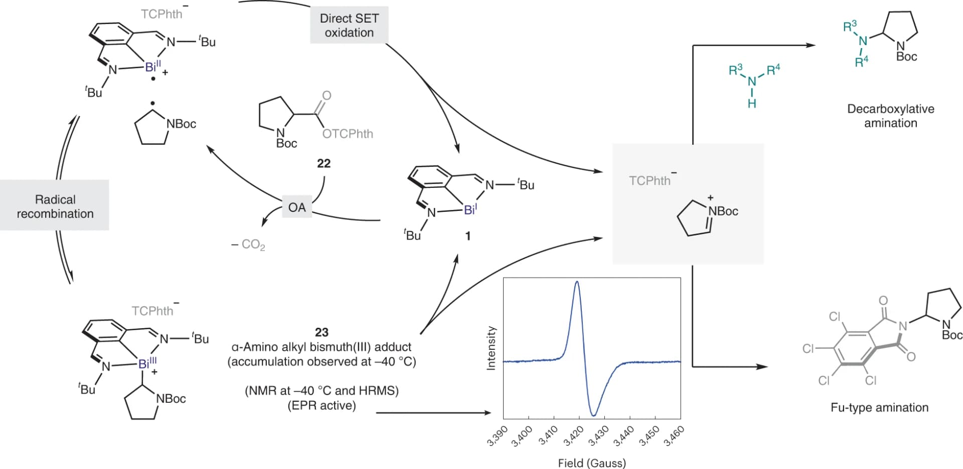 Open access visualization of Workflow, Line Plot, C-N Cross-Coupling Reaction, α-Amino Acids, α-Oxo Acids
