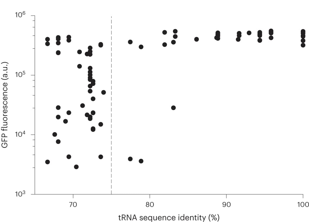 Open access visualization of Scatter Plot, PylRS, tRNA, Sequence Identity, Synthetase