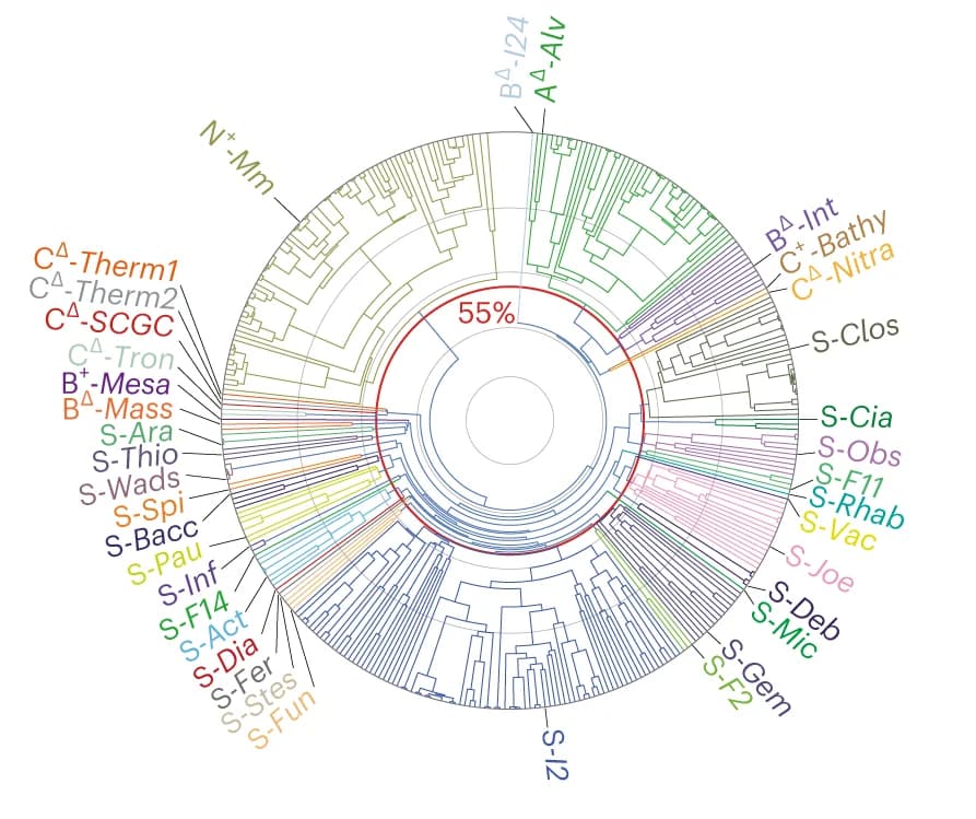 Open access visualization of Network, Dendrogram, PylRS C-terminal domain, Amino acid sequences, Agglomerative hierarchical clustering