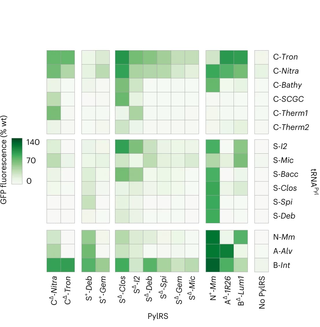 Open access visualization of Heatmap, Pyl tRNAs, PylRS enzymes, GFP(150AllocK) His6, GFP(150TAG) His6
