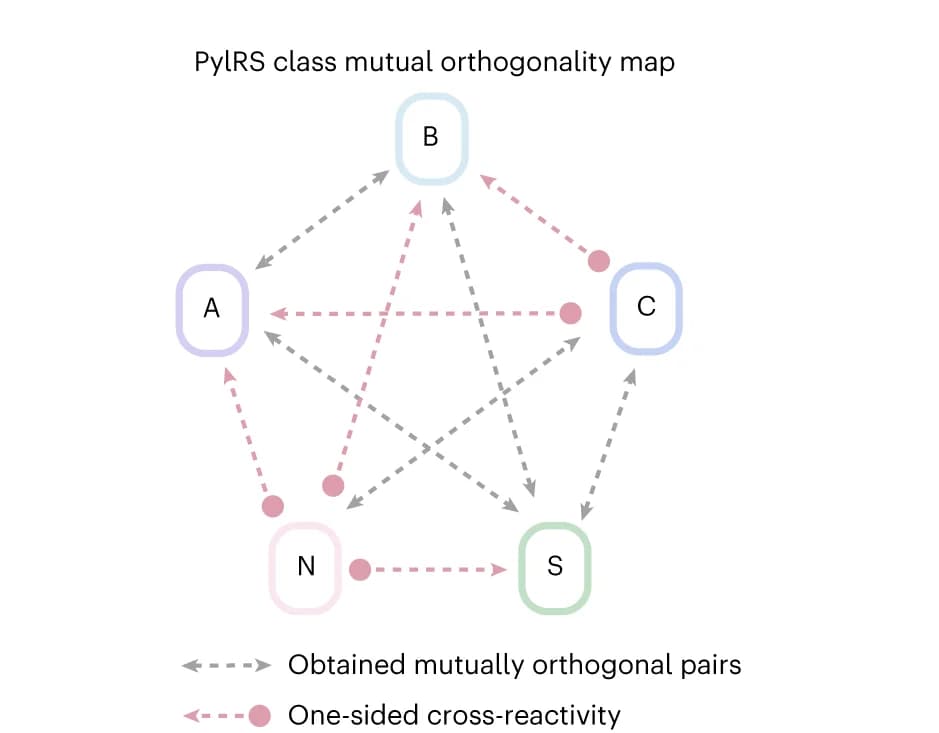 Open access visualization of Network, Pathway, Interaction Network, PylRS classes, PylRS enzymes