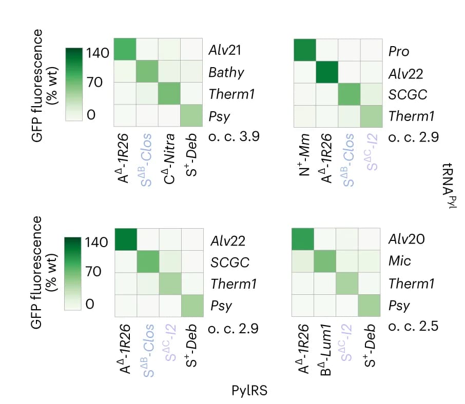Open access visualization of Heatmap, Activity Heatmaps, PylRS/tRNA Pyl pairs, Orthogonal PylRS, Pyl tRNAs