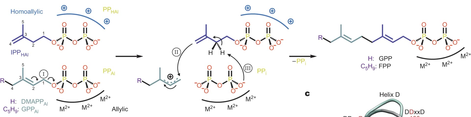 Open access visualization of Illustration, Chemical Structure, Enzymes, Prenyl substrate, Metal cluster