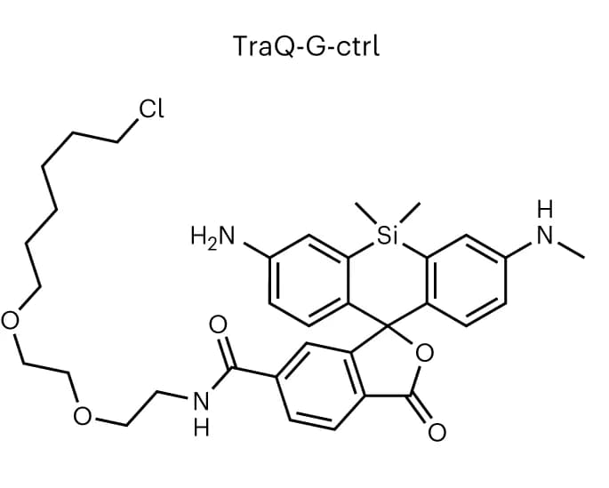 Open access visualization of Chemical Structure, Small-Molecule Ligand, X-Ray Crystal Structure, Ligand-Protein Conjugate