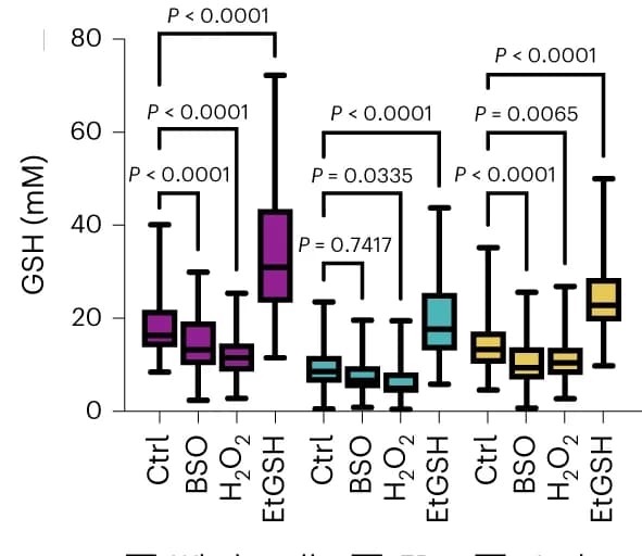 Open access visualization of Box Plot, GSH concentration, Whole Cells, ER, Nuclei