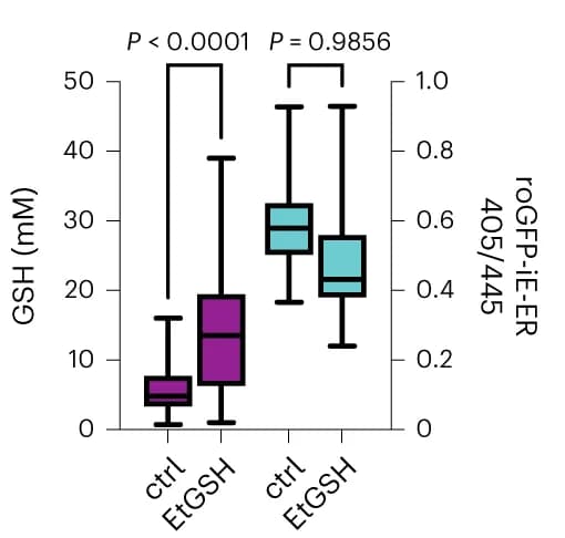 Open access visualization of Box Plot, GSH Concentration, roGFP-iE-ER, EtGSH, Statistical Analysis