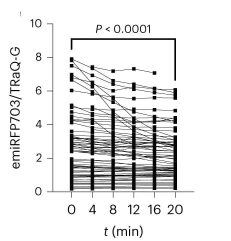 Open access visualization of Line Plot, GSH Concentration, H2B-TRAQ-G-emiRFP703, NIR Sensor, Hydrogen Peroxide