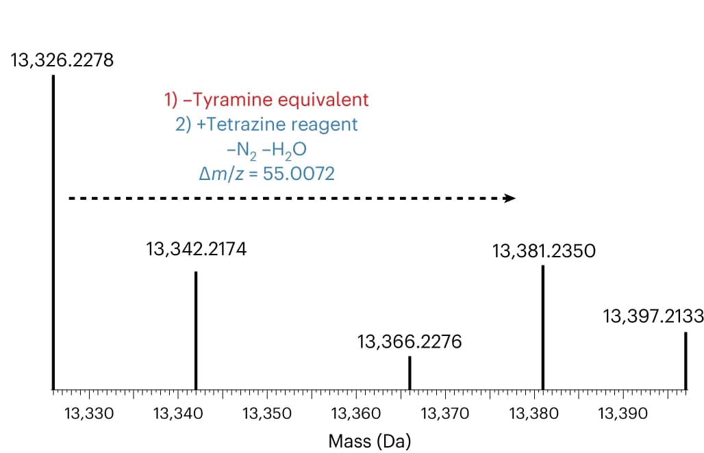 Open access visualization of Bar Plot, Electrospray Ionization Mass Spectra, ESI-MS, His6-PlpA3-M5G, Substrate