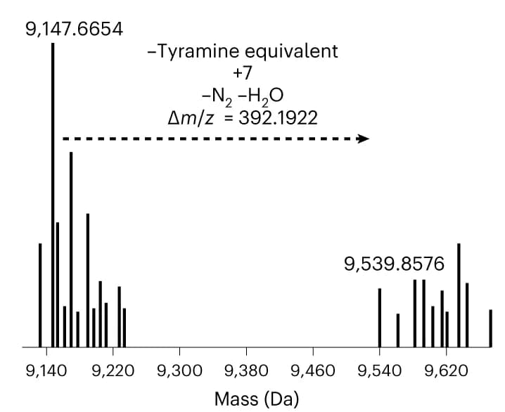 Open access visualization of Bar Plot, MS Spectrum, Z Her2:342-GYG, DOTA Conjugate, Z Her2:342-TyrEx-DOTA
