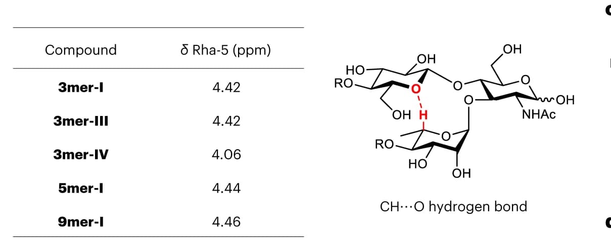 Open access visualization of Table Image, Chemical Structure, Chemical Shift, Hydrogen Bond, Conformation