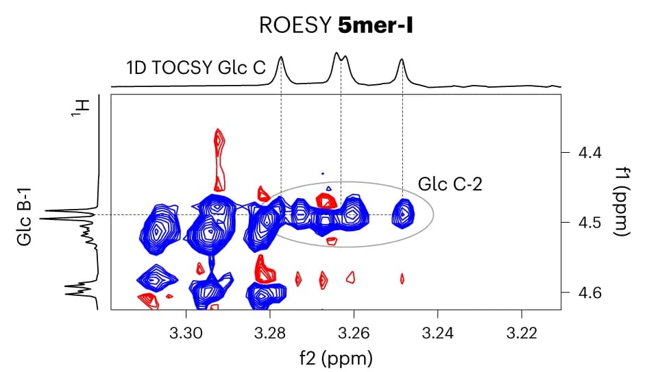 Open access visualization of Spectrogram, Line Plot, 2D ROESY NMR, NOE, Hairpin