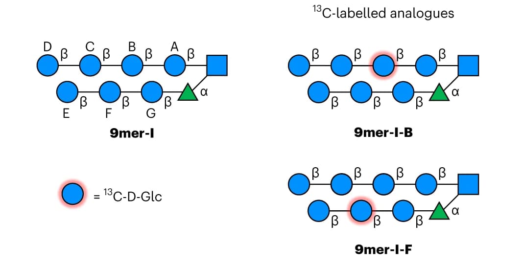 Open access visualization of Illustration, Chemical Structure, Analogues, Synthesis, Reaction conditions