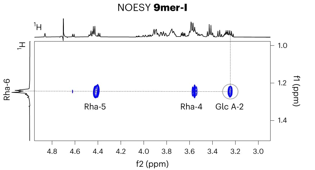 Open access visualization of Scatter Plot, Line Plot, Density Plot, 2D NOESY NMR, NOE