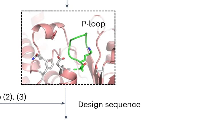 Open access visualization of Workflow, Protein Structure, Backbone Structure, P-loop, Pseudo-active Site