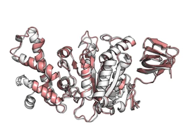 Open access visualization of Protein Structure, Computational Design Model, B Subunit, Crystal Structure, Nucleotides