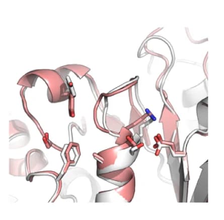 Open access visualization of Protein Structure, Binding Site, P-loop, Backbone Geometry, Design Model