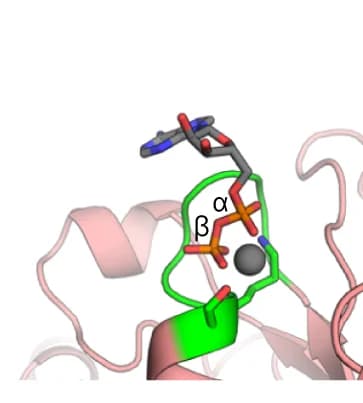 Open access visualization of Protein Structure, Chemical Structure, Crystal Structure, ATP-binding, Oxygen Atoms