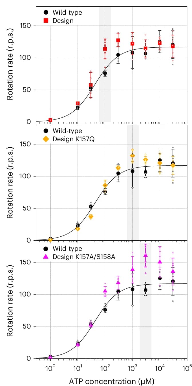Open access visualization of Line Plot, Error Bars, Scatter Plot, ATP Dependence, Rotation Rates