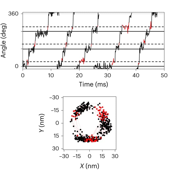 Open access visualization of Line Plot, Scatter Plot, Rotation, ATP, Trajectory