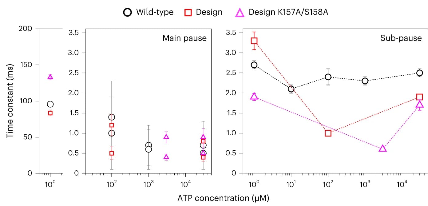 Open access visualization of Line Plot, Error Bars, Scatter Plot, Time constants, ATP