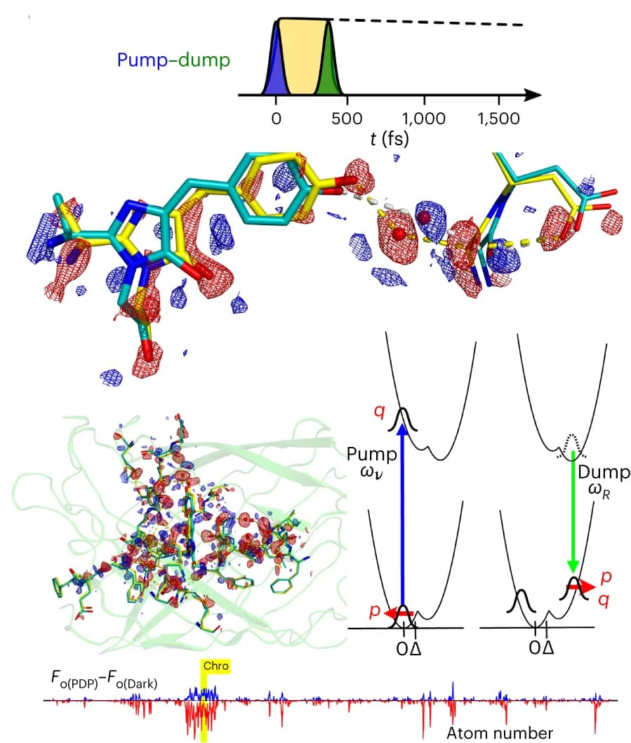 Open access visualization of Chemical Structure, Line Plot, Illustration, Femtosecond time-resolved PP, PDP