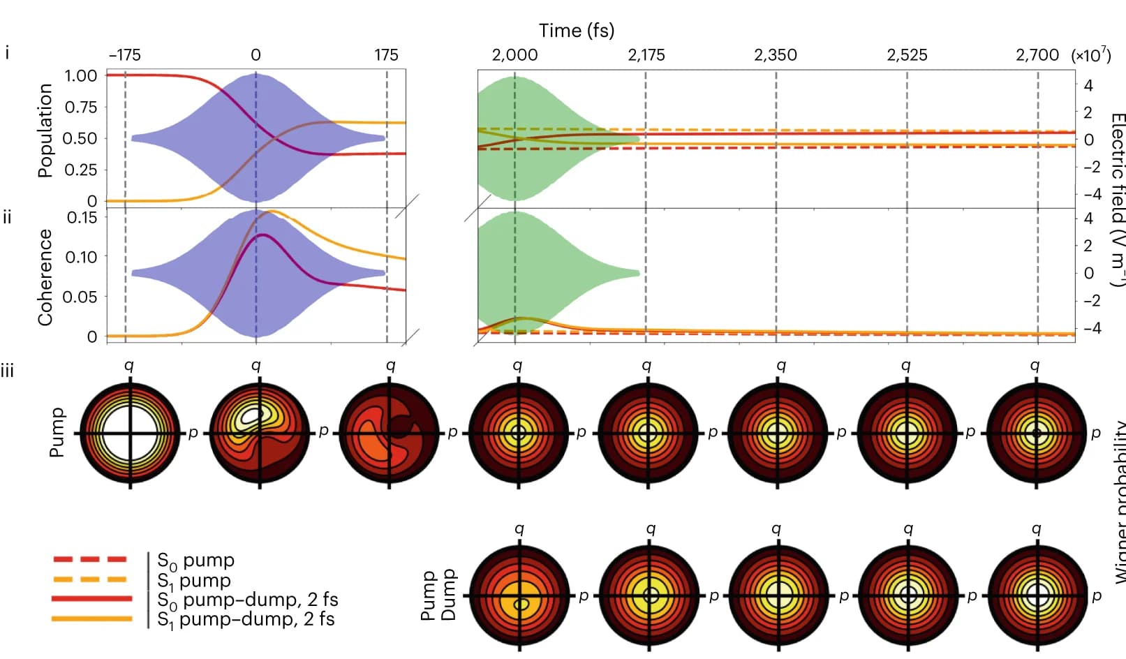 Open access visualization of Line Plot, Density Plot, Electronic States, Pump-Dump Delay, Wigner Phase-Space Distributions