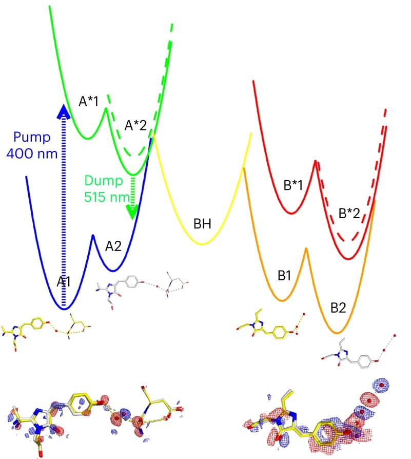 Open access visualization of Line Plot, Chemical Structure, Adiabatic States, Off-State Structures, On-State Structures