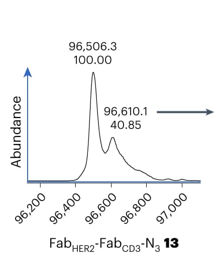 Open access visualization of Line Plot, Density Plot, LC-MS, Fab HER2-Fab CD3-N3, Mass Spectrometry
